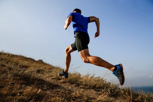 Cordyceps: increases stamina and endurance