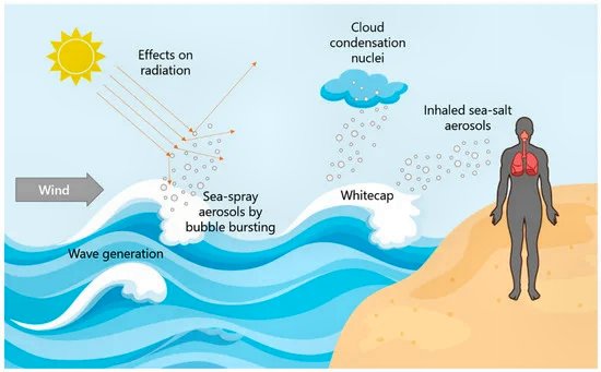 Effects of Sea Salt Aerosols on Human Health